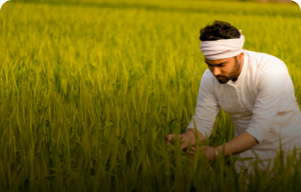 KPC Crop Loan services