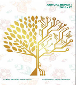 Download PDF 2016-17