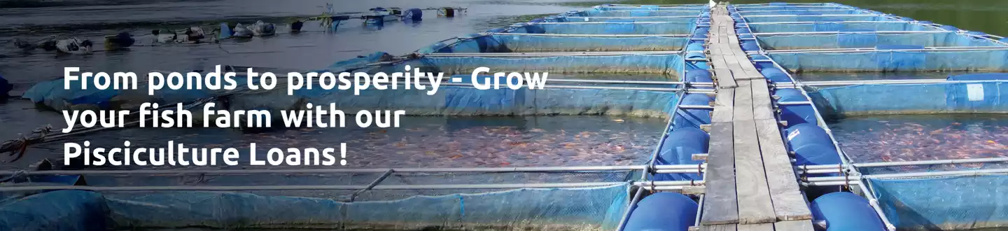 Pisciculture Loans desktop